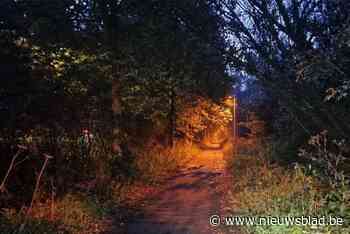 Nieuwe verlichting voor fietssnelweg F209 tussen Denderleeuw en Brussel