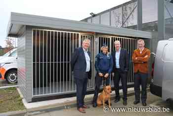 Politiezone AMOW opent 'hondenhotel' voor loslopende dieren