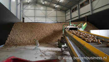 Wel aardappelprijzen noteren, maar geen markt