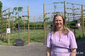 Opwaardering centrale begraafplaats Knutsegem gaat verder