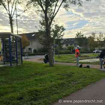 Botsing tussen scooter en fietser op Andoornlaan