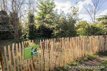 Grotere hondenweide in Caputsteenpark: “Er is nu veel meer schaduw”