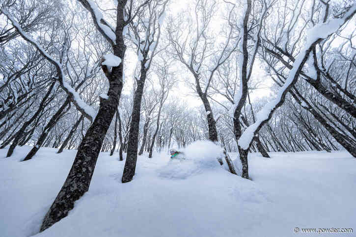 Skiing in Japan: The Ultimate Guide