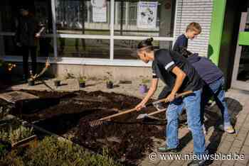Leerlingen BA Campus Caputsteen planten meer dan driehonderd bomen en struiken: “Het parkdomein wordt in ere hersteld”