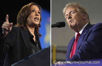 Trump extends lead over Harris in election betting odds