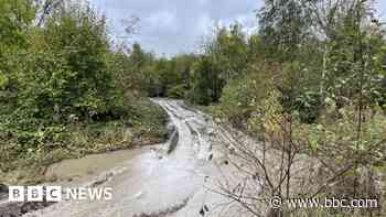 Jubilee woodland considered as site for new school