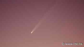 A comet is now visible in the evening sky. Here's how to see it