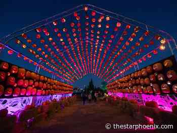 In Photos: Pumpkins after Dark kicks off in Saskatoon