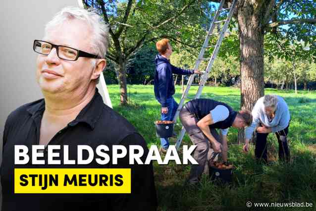 Stijn Meuris over het beeld van de week: Nazomer