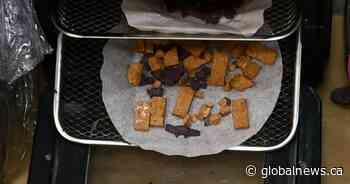 Fentanyl shaped like Lego, toys in Campbell River drug bust: B.C. RCMP