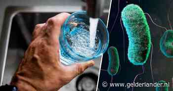 Poepbacterie duikt op in Noord-Limburg: 14.000 huishoudens moeten drinkwater eerst koken