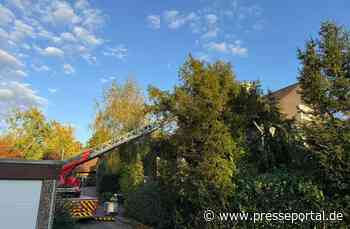 FW Menden: Küchenbrand in einem Wohnhaus