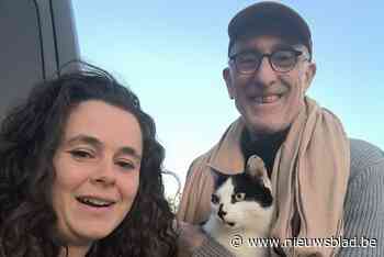 Bekendste kat van het land terug thuis: “Iemand die hem niet kende had hem in huis genomen”