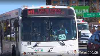 Recent attacks put safety in the spotlight for Winnipeg Transit