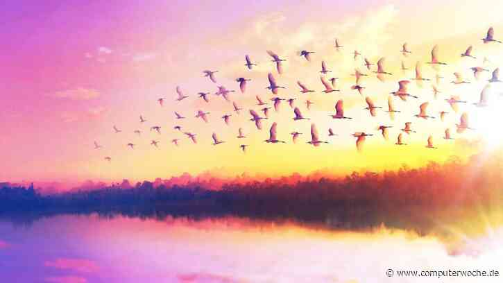 8 Tipps, um Kubernetes besser zu stemmen