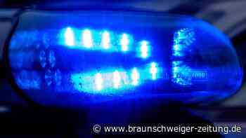 Einbrecher durchsuchen Lebenstedter Gartenlauben