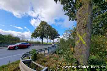 Ausbau der OWL-Straße bei Warburg: Wird das Großprojekt auf Eis gelegt?