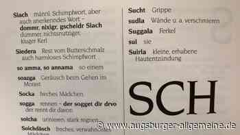 Schwäbisch für Anfänger: Neuer VHS-Kurs reißt die Sprachbarriere ein