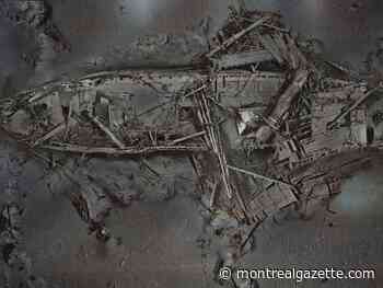 Endurance unveiled: McGill team helps bring Shackleton’s lost ship to life in 3D