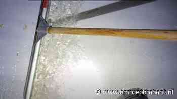 112-nieuws: vrouw valt van paard • appartement Helmond  onder water