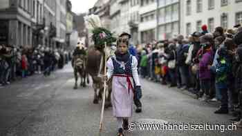 Der St. Galler Olma-Umzug zieht über 40'000 Menschen an