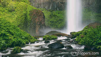 A Guide to Choosing the Right Shutter Speed for Every Scene