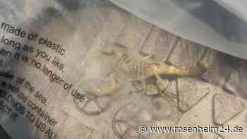 Frau bestellt Klamotten bei Shein – im Paket findet sie äußerst unerwünschten Zusatz