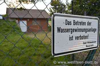 Windkraft: Betriebsausschuss Willebadessen lehnt AfD-Antrag ab