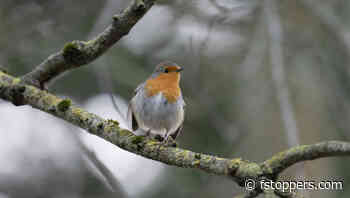 Simple Edits to Make Flat Photos Pop With Color and Contrast