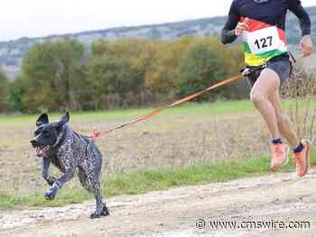 Empower Employees, Empower Customers: The CX-EX Connection