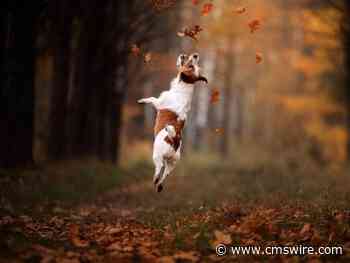 5 Actionable Strategies for Elevating Your Q4 Marketing Game