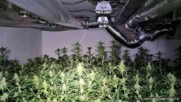Grote hennepkwekerij in garagebox ontdekt na melding over verdacht persoon