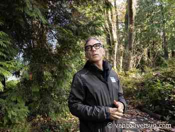 Stanley Park staff embark on next round of looper moth recovery, but critics assail decision to remove trees