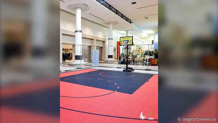 Calgary Surge coaching staff hosting free basketball clinic Saturday at Chinook Centre