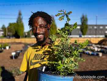 Tree Toledo nursery aims to help residents green their urban spaces