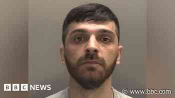 Pit bull owner jailed after girl, 3, attacked