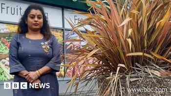 Council blockades car parks with giant plant pots
