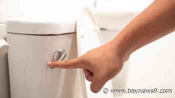 Zephyrhills asks residents to limit flushing, use of drinking water