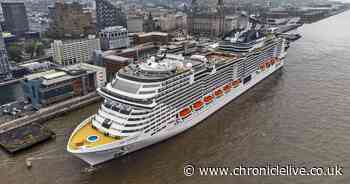 Woman dies after going overboard from cruise ship near Channel Islands