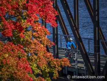 Autumn gallery: The beautiful pause in the National Capital Region