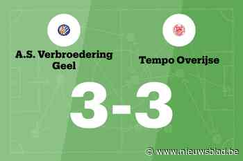 Tempo Overijse speelt gelijk in uitwedstrijd tegen ASV Geel