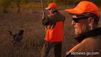 Walz tramps through tall grass on pheasant hunting season opener but bags no birds