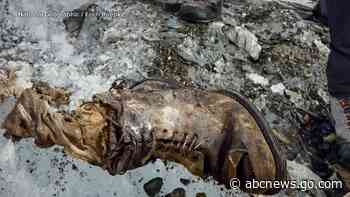 WATCH:  Long-lost Mt. Everest climber may have been found