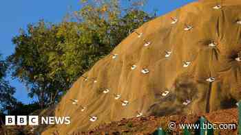 Stabilisation work completed after quarry landslip