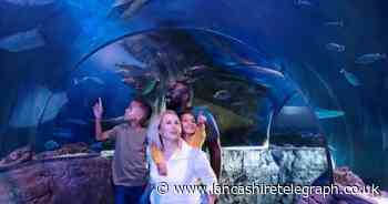 The entertainment pass that promises to be a boredom buster for families