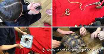 Primary school children have day of fun with spiders, frogs and snakes