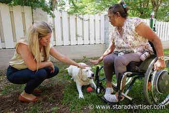 Program shelters domestic violence victims and their pets