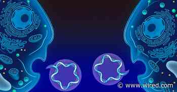 Cells From Different Species Can Exchange ‘Text Messages’ Using RNA