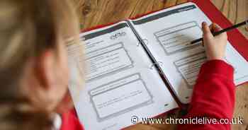 Teachers explain just how much you should help your child with school homework