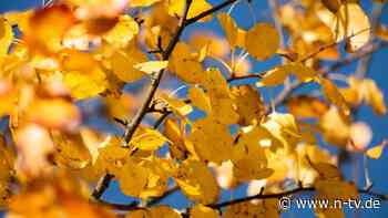 Die Wetterwoche im Schnellcheck: Hoch "Werner" verheißt noch einmal milde Tage